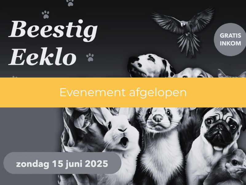 15 juni 2025 | Beestig Eeklo