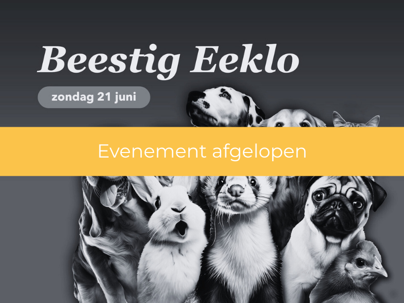 21 juni 2026 | Beestig Eeklo