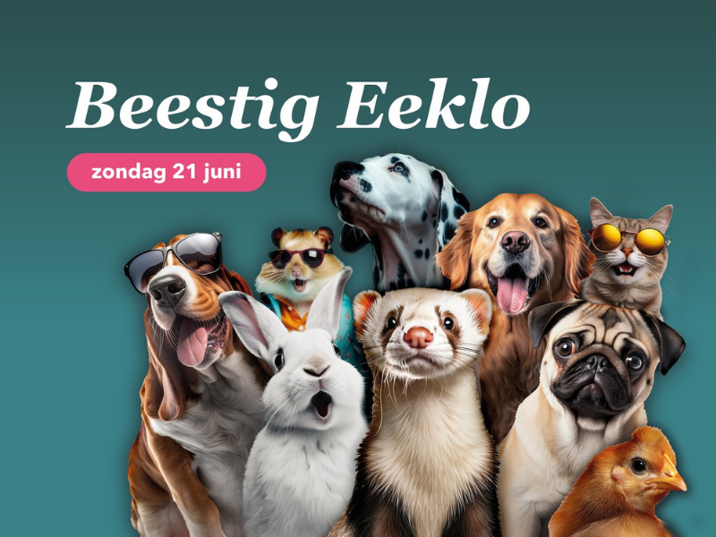 21 juni 2026 | Beestig Eeklo