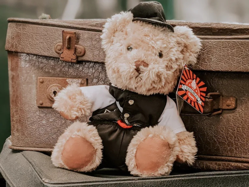 5 juli 2026 | Teddyberendag